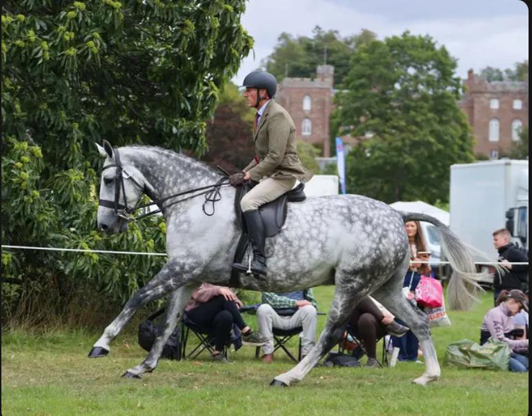 Russell with horse Jamies Future Russell with horse Jamies Future