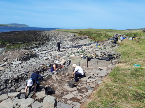 Swandro