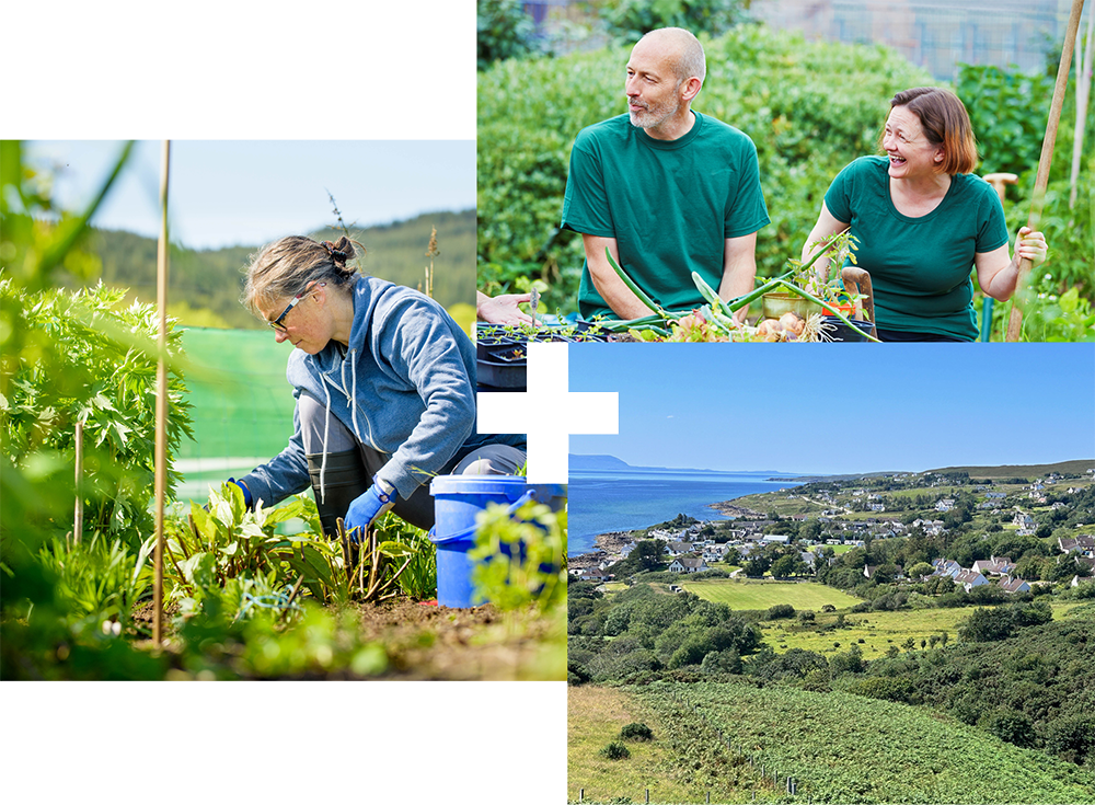 Two people gardening | A person tending to their crops | Aerial view of a small community