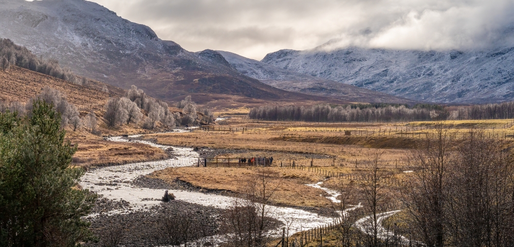 Scenic view of a river and snowy mountains