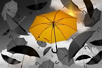A yellow umbrella stands out amongst monochrome umbrellas A yellow umbrella stands out amongst monochrome umbrellas