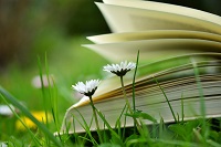 An open book on some grass An open book on some grass