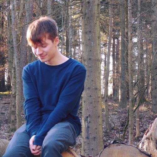 Man wearing a blue jumper sitting on a pile of logs with trees in the background Man wearing a blue jumper sitting on a pile of logs with trees in the background