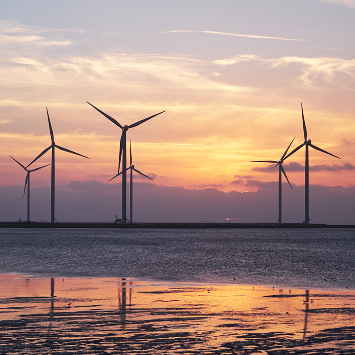 Offshore wind farm Offshore wind farm