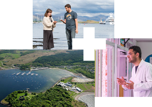 Left: Scottish Association for Marine Science campus from above. Top: Looking at small samples of local coastal flora and fauna. Right: Research student in the laboratory. Left: Scottish Association for Marine Science campus from above. Top: Looking at small samples of local coastal flora and fauna. Right: Research student in the laboratory.