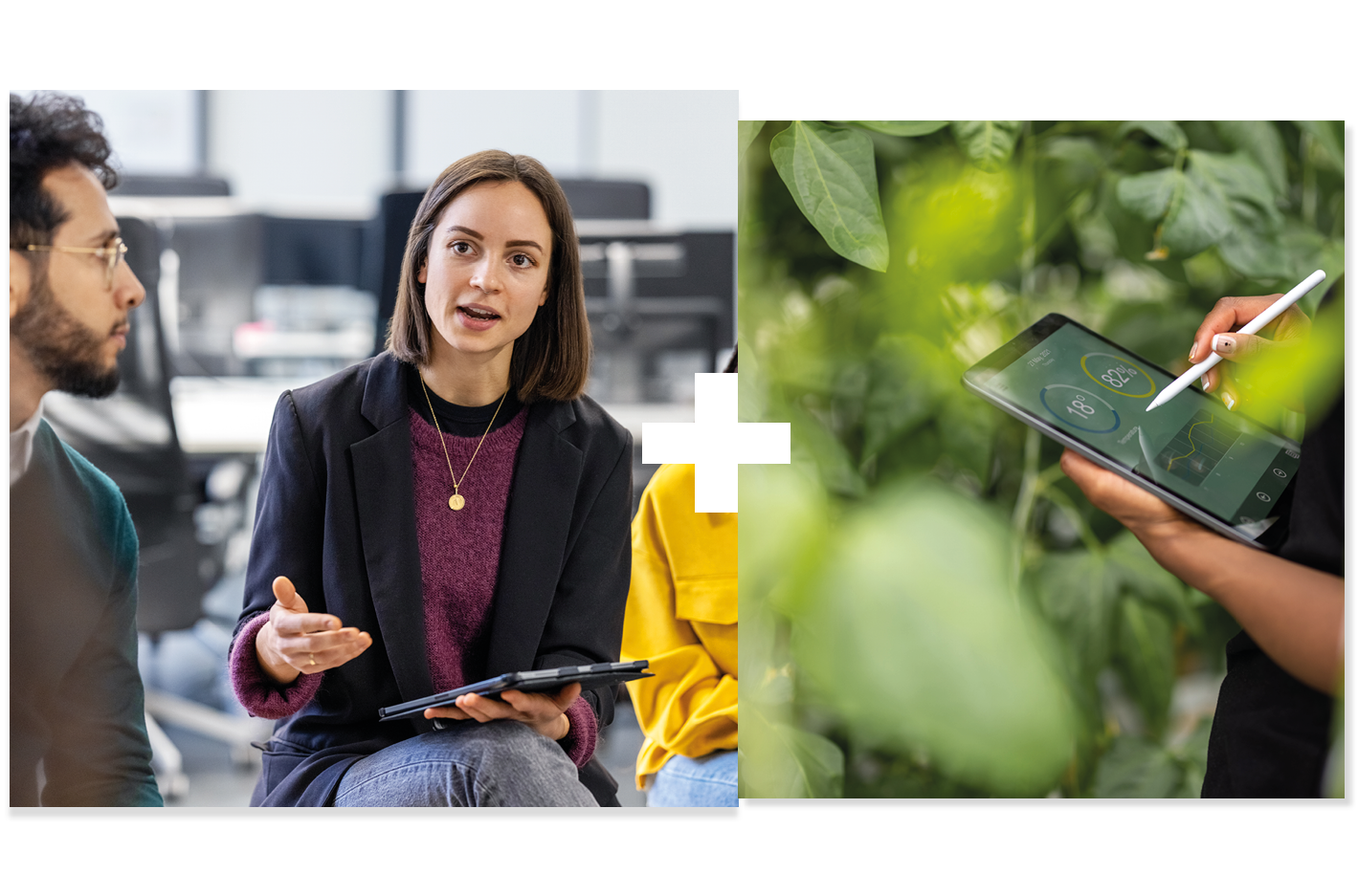 Collage of 2 | People in a meeting | Person gathering data Collage of 2 | People in a meeting | Person gathering data