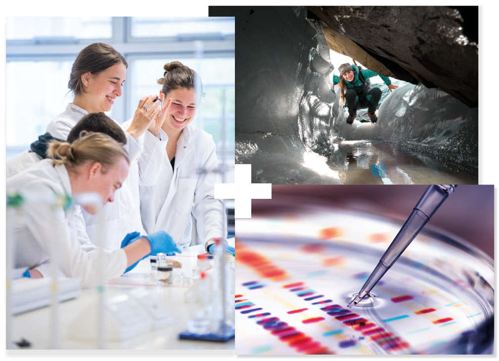 Collage of 3 | Students working in a laboratory | Student in a glacier | Close-up of a petri dish Collage of 3 | Students working in a laboratory | Student in a glacier | Close-up of a petri dish
